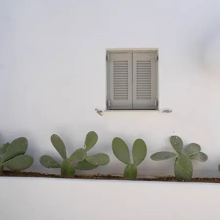 White W3 New In Naousa