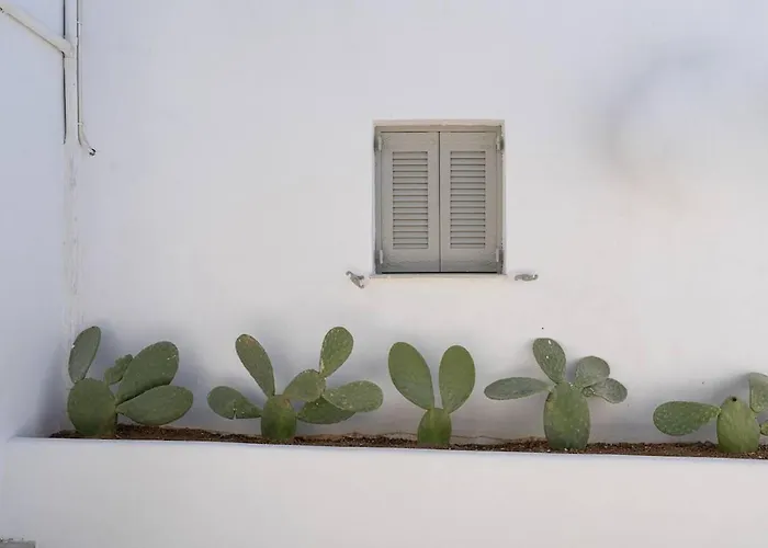 White W3 New In 나오우사